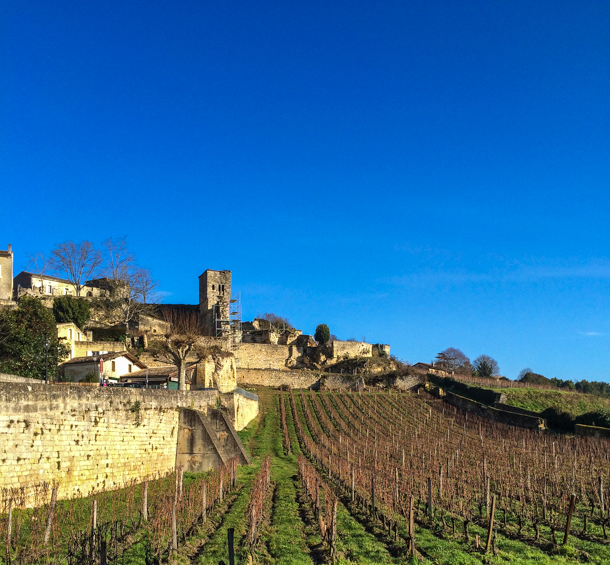 Vineyards in Saint-Emilion France